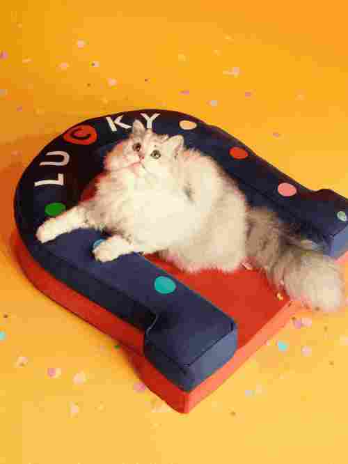 2026 互联网大厂新年礼盒大赏！马年花式整活，各显神通